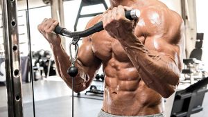 bodybuilding supplement